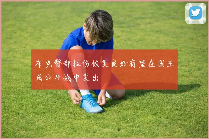 布克臀部拉伤恢复良好有望在国王或公牛战中复出