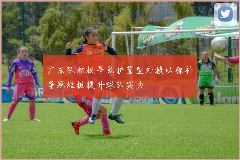 广东队积极寻觅护筐型外援以弥补争冠短板提升球队实力