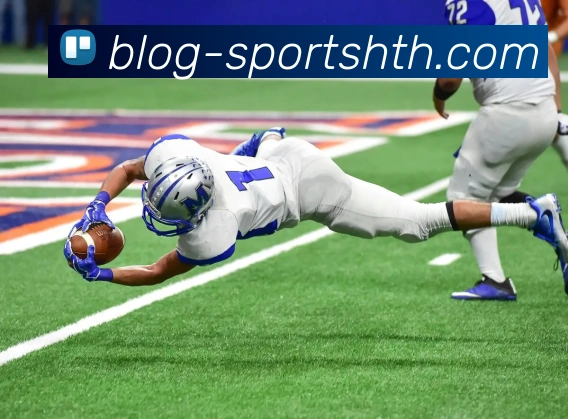 华体会体育平台生态图